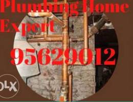 We offer unequivocal electric and plumbing...