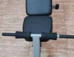 Gym Exercise Bench