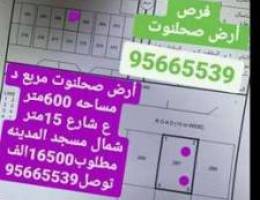 أرض صحلنوت مربع د شمال مسجد المدينه 16500أ...