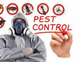 Full house pest control services