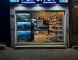 all pets and accesseries avialble our shop in goubra and al hail.
