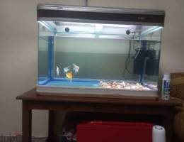 urgent sale fish tank