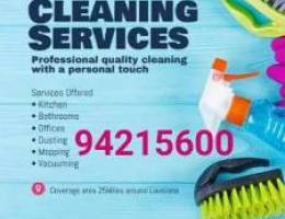 Best services house cleaning and maintenance