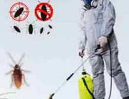 Quality pest control services and