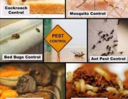 Pest control service with care