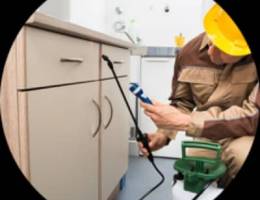 Guaranteed pest control services and house cleaning services