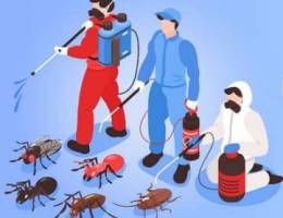 General pest control services and insects services