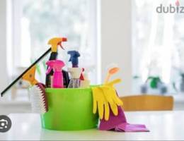 House cleaner and house shifting service