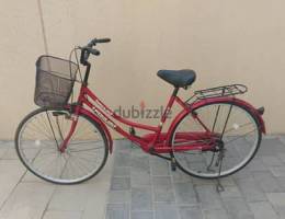 Ruby Red Ladies Cycle