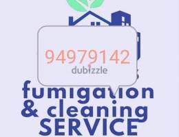 Professional home villa & apartment deep cleaning service