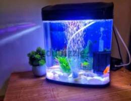 Fish aquarium with all accessories and free food