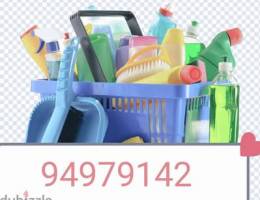 Professional home & apartment deep cleaning service