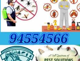 Pest Control Service and House Cleaning