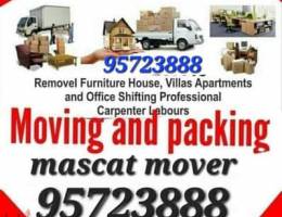 House villa shifting furniture fixing bed cabinets shifting  fixing