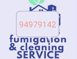 Professional home & apartment deep cleaning service