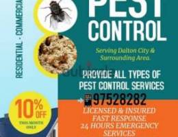 High Quality Pest Control Service provided by Machine