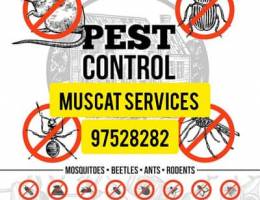 Pest Control Services available all over Muscat cities