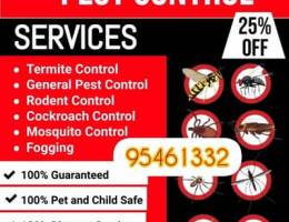 Pest Control service for All kinds of Insects cockroaches