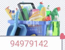 villa & apartment & office deep cleaning service zbvs