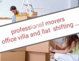 Professional movers service