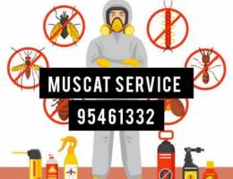 General Pest Control Service is available all over Muscat