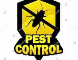 Pest control services available all over Muscat