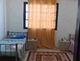 A wonderful bed space in a sharing room for daily or monthly rent