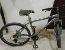 Giant Original Bicycle For Sale
