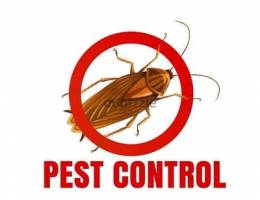 Muscat General Pest central service