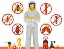 NEW EXPRESS CLEANING & PEST CONTROL SERVICE