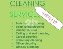 Professional home villa & apartment deep cleaning service