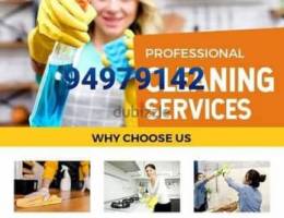 Professional deep cleaning service BBzh
