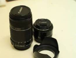 canon ef 50mm 1.8 and ef 55-250mm