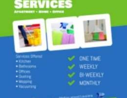 Best services house cleaning and maintenance