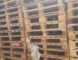 Used wooden and plastic pallets