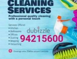 Best services house cleaning and maintenance