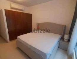 "SR-FA-229 furnished flat to let in Airport Heights