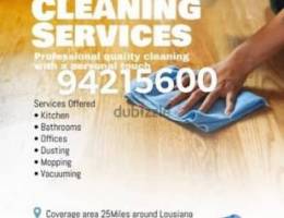 Best services house cleaning and maintenance