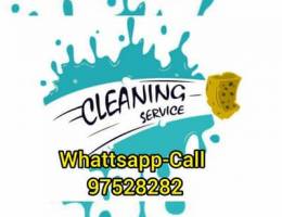 Home Flat Villa Garden Cleaning and Maintenance service