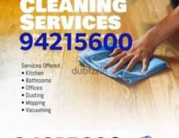 professional house, villa, building, office, school cleaning service