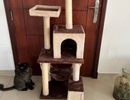 Cat play house & cute cat house never used
