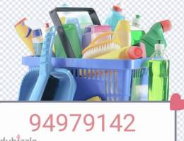 villa office apartment deep cleaning service