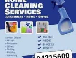 Best services house cleaning and maintenance