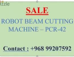Robot Beam Cutting Machine - PCR-42
