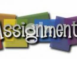all types of assignments writing on professional basis