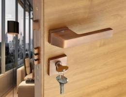 locksmith work door