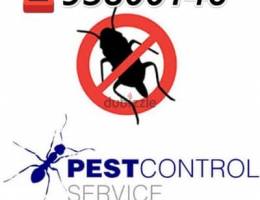 Pest control services in Muscat, Bedbugs killer medicine available