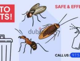 Bedbug's insects Medicine available