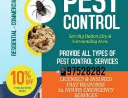 Pest Control Service Contact anytime