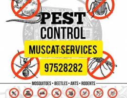 Pest Control service available for insects bedbugs cockroaches